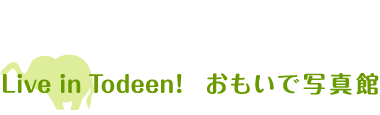 Live in Todeen! おもいで写真館
